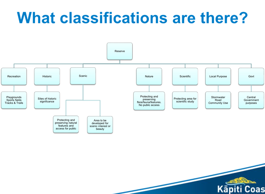 A diagram of a company structure

Description automatically generated
