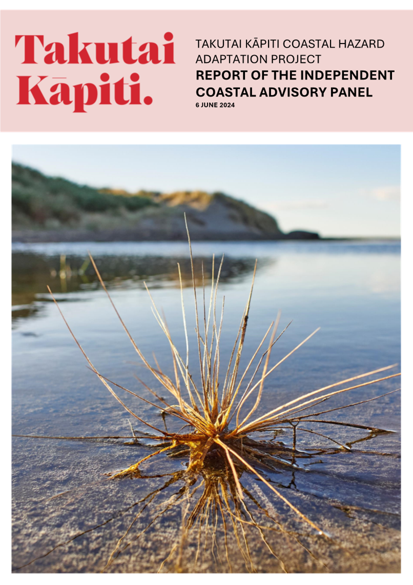 A magazine cover with a plant in the water

Description automatically generated