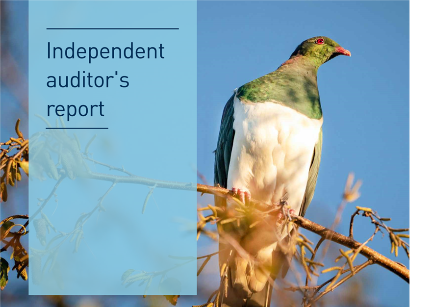 A bird sitting on a branch

Description automatically generated